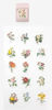 Picture of ASSORTED FLOWER SET STICKER BOX