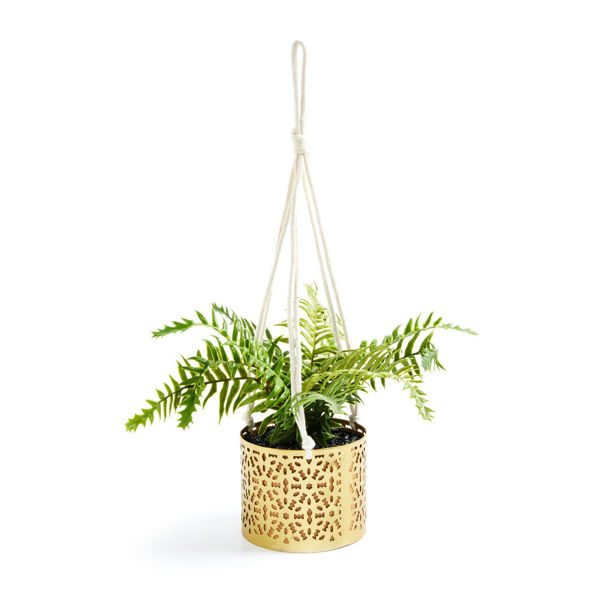 Picture of Hanging plant decor