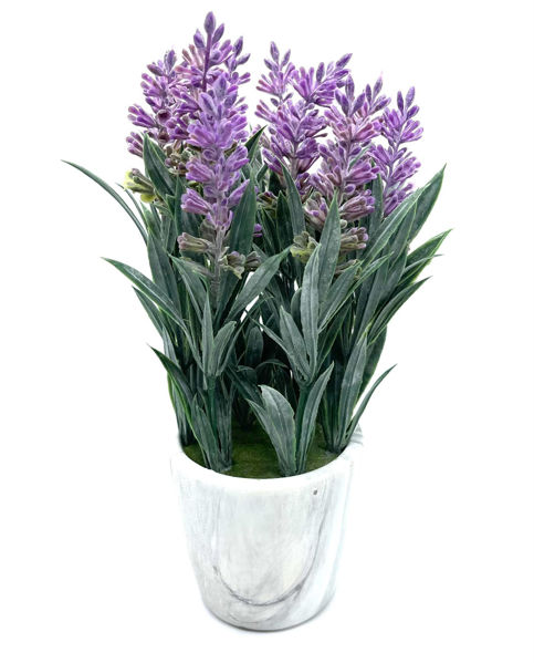 Picture of Faux Lavender Plant with marble finishing