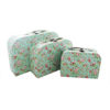 Picture of Rose Print Storage Suitcases