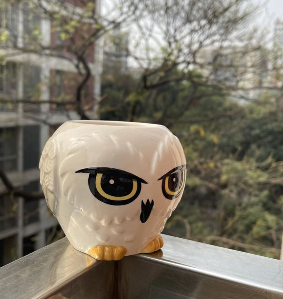 Picture of Original HP Merchandise "Hedwig"