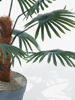 Picture of Green Artificial Small Palm Fronds