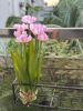 Picture of Artificial plant