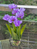 Picture of Artificial plant