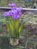 Picture of Artificial plant