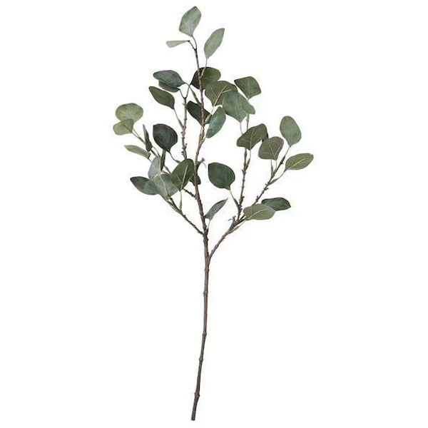 Picture of SMYCKA