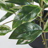 Picture of FEJKA Artificial potted plant