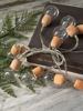 Picture of String Lights