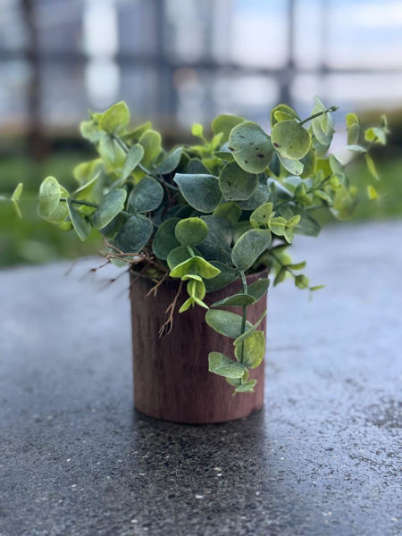 Picture of Artificial plant