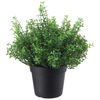 Picture of FEJKA Artificial potted plant
