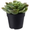 Picture of FEJKA Artificial potted plant