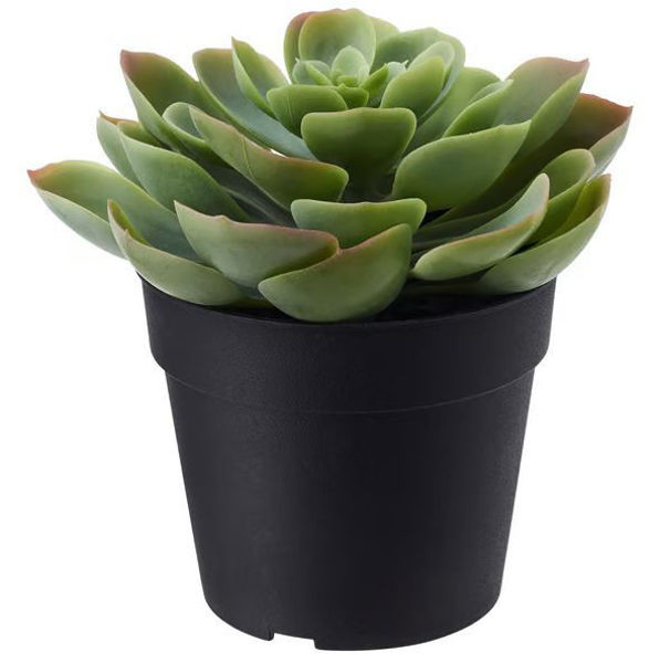 Picture of FEJKA Artificial potted plant
