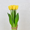 Picture of ORIENTAL FLOWERS Artificial Tulip