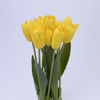 Picture of ORIENTAL FLOWERS Artificial Tulip