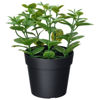 Picture of FEJKA Artificial potted plant