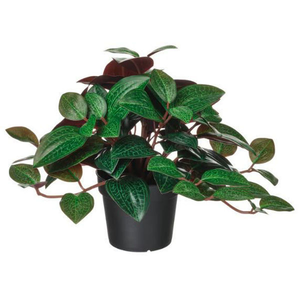Picture of FEJKA Artificial potted plant