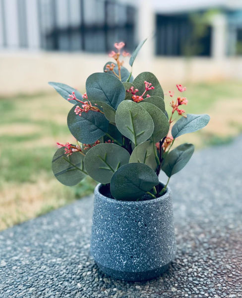 Picture of Artificial Plant