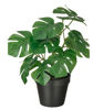 Picture of FEJKA Artificial potted plant