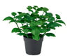 Picture of FEJKA Artificial potted plan