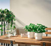 Picture of FEJKA Artificial potted plan