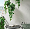 Picture of FEJKA Artificial potted plant