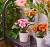 Picture of FEJKA Artificial potted plant