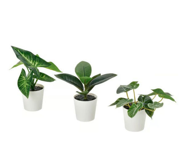 Picture of FEJKA Artificial potted plant