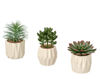 Picture of FEJKA Artificial Succulent potted plant