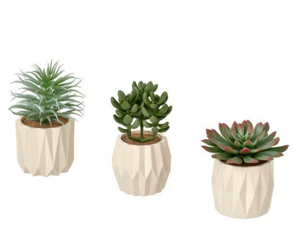Picture of FEJKA Artificial Succulent potted plant