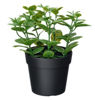 Picture of FEJKA Artificial potted Mint plant