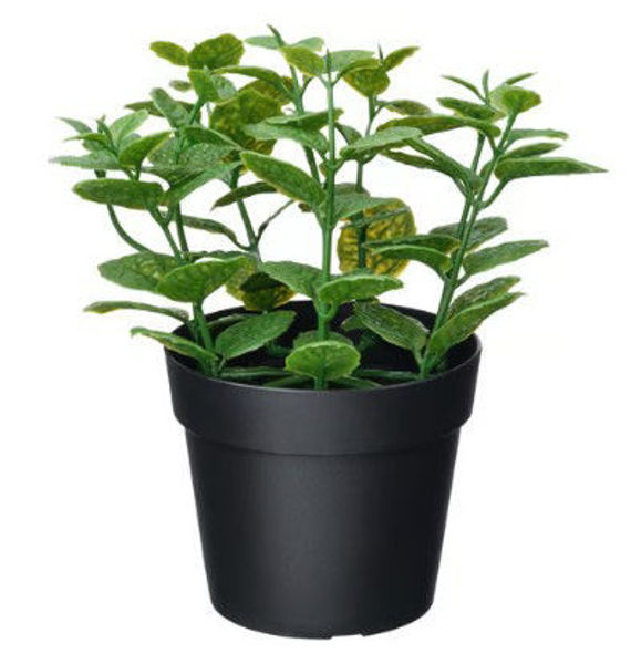 Picture of FEJKA Artificial potted Mint plant