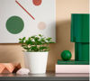 Picture of FEJKA Artificial potted Mint plant