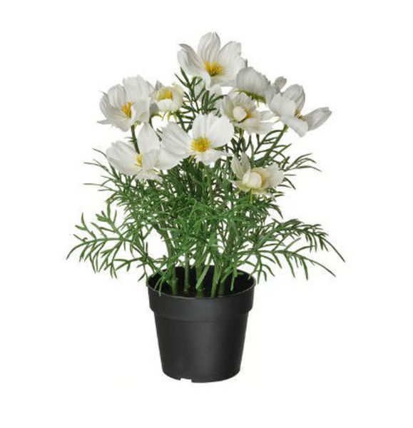 Picture of FEJKA Artificial potted plant