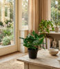 Picture of FEJKA Artificial potted plan