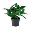 Picture of FEJKA Artificial potted plan